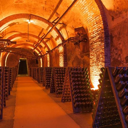 Champagne Central - Exceptionnel 3 Chambres Реймс Экстерьер фото