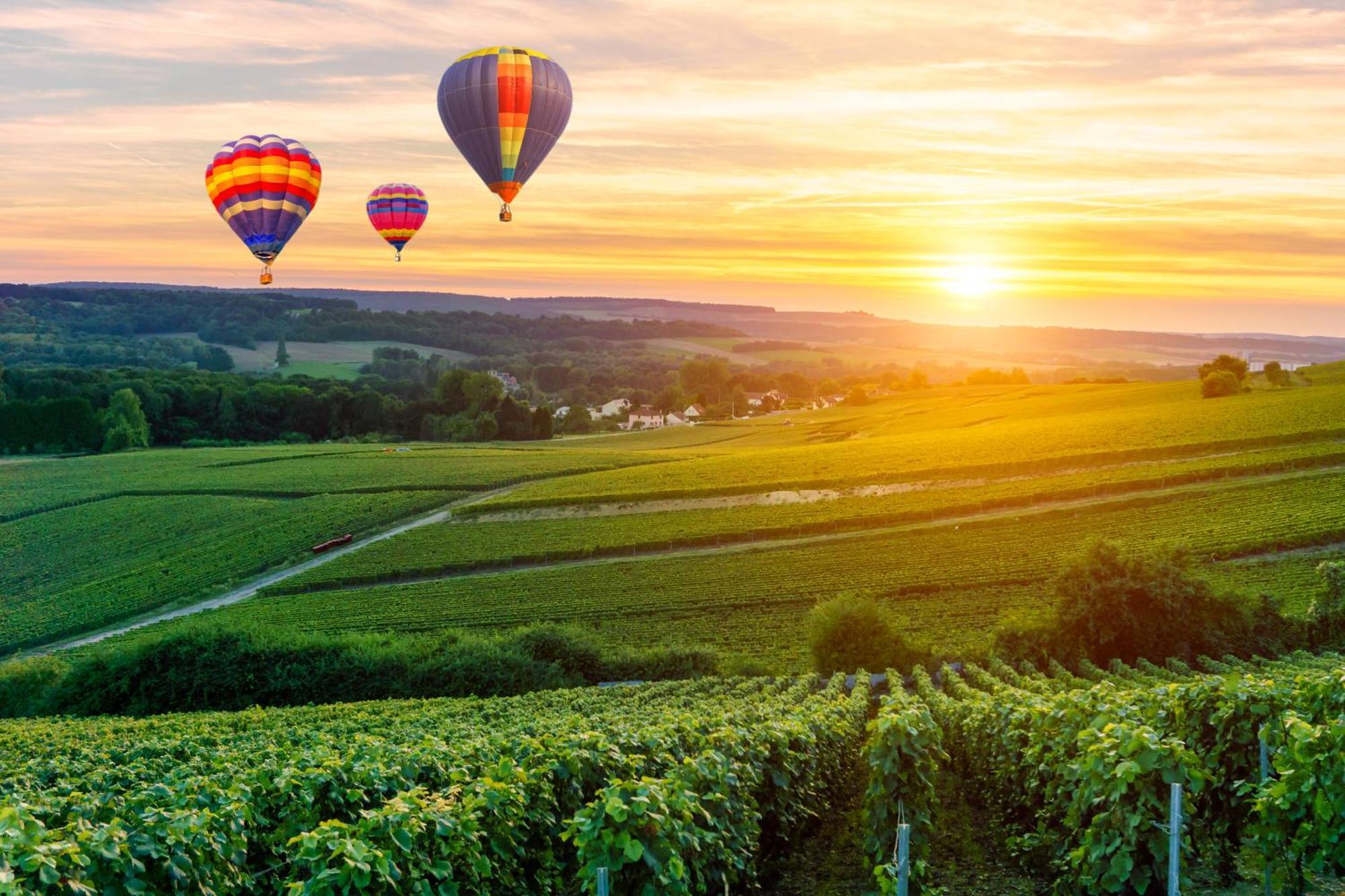 Champagne Central - Exceptionnel 3 Chambres Реймс Экстерьер фото